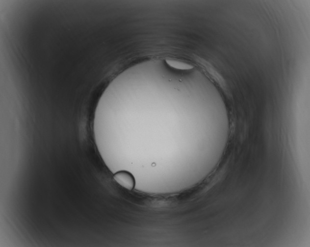 X0000100390209200806060840