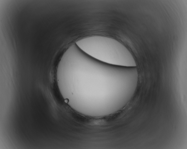 X0000100390210200806060840