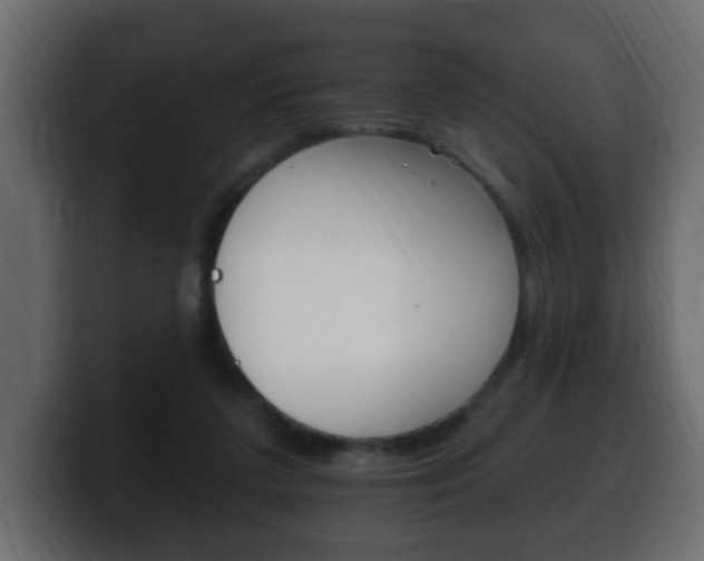 X0000100390211200806060840