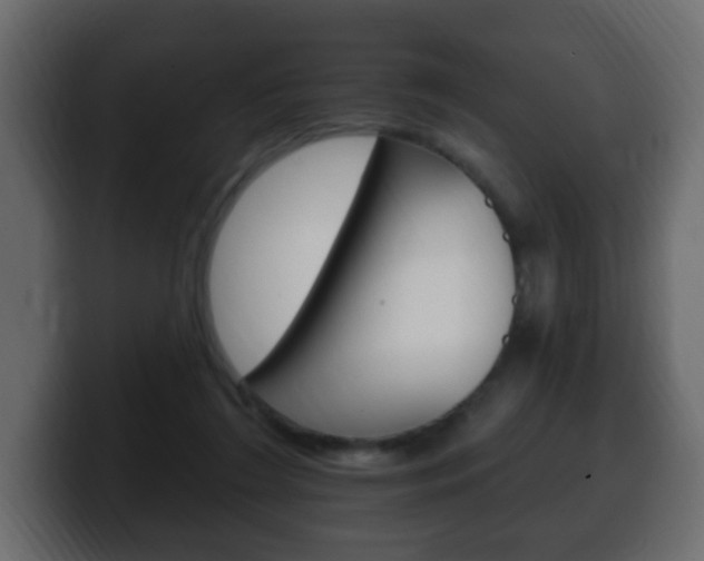 X0000100390212200806060840