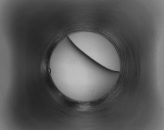 X0000100390214200806060840
