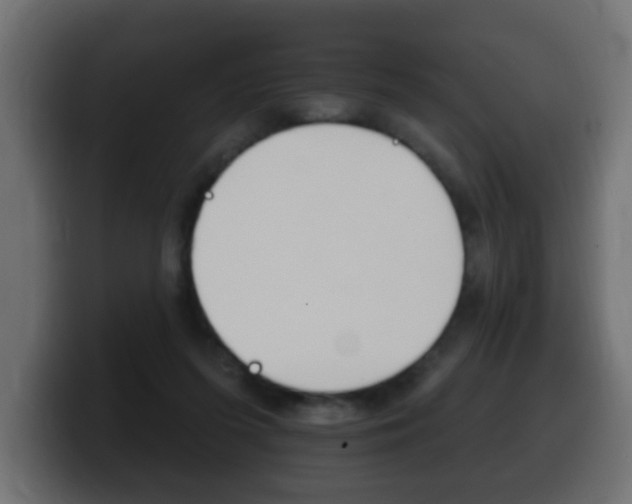 X0000100390215200806060840