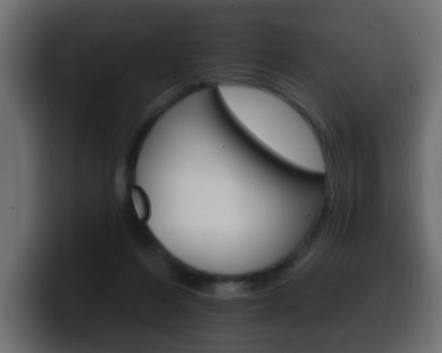 X0000100390216200806060840