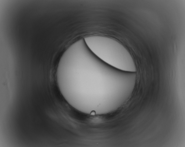 X0000100390218200806060840