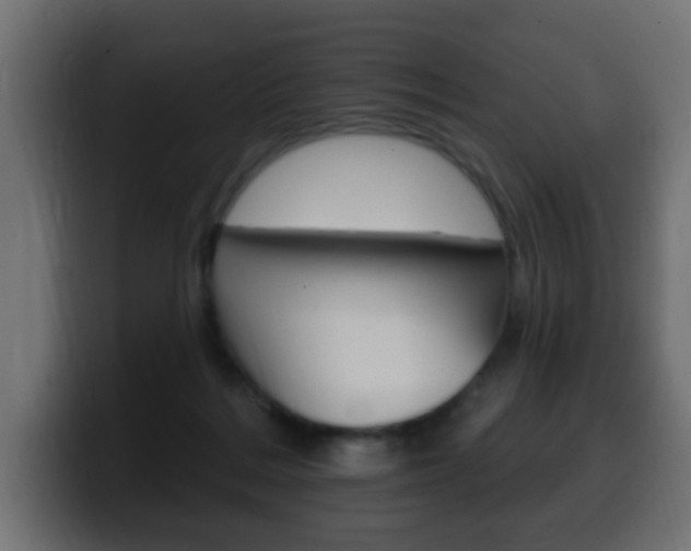 X0000100390220200806060840