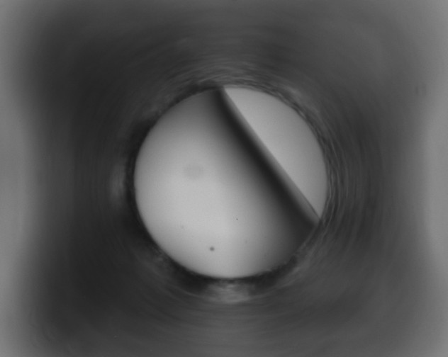 X0000100390221200806060840