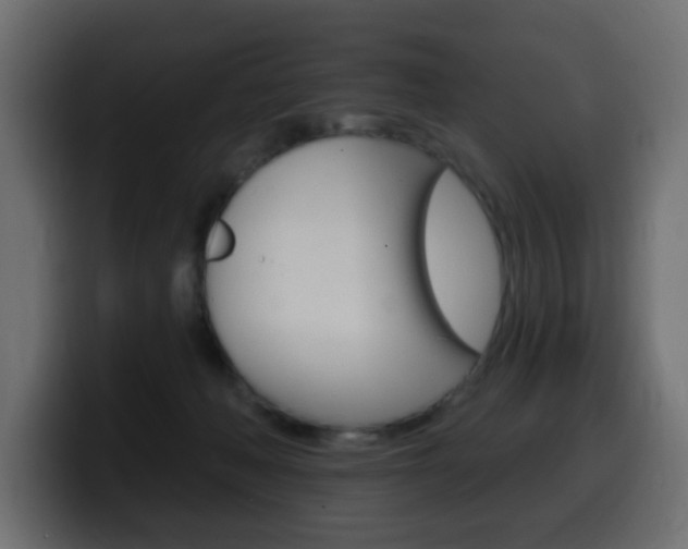 X0000100390222200806060840