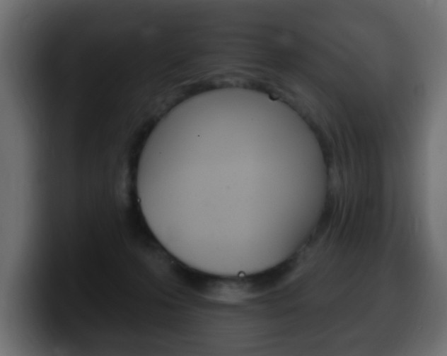 X0000100390223200806060840