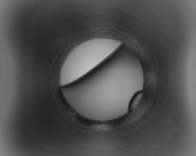 X0000100390224200806060840