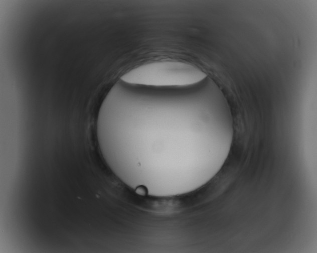 X0000100390225200806060840