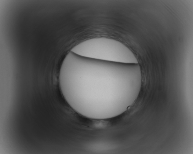 X0000100390226200806060840