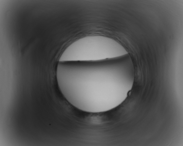 X0000100390228200806060840