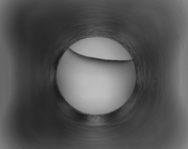 X0000100390230200806060840