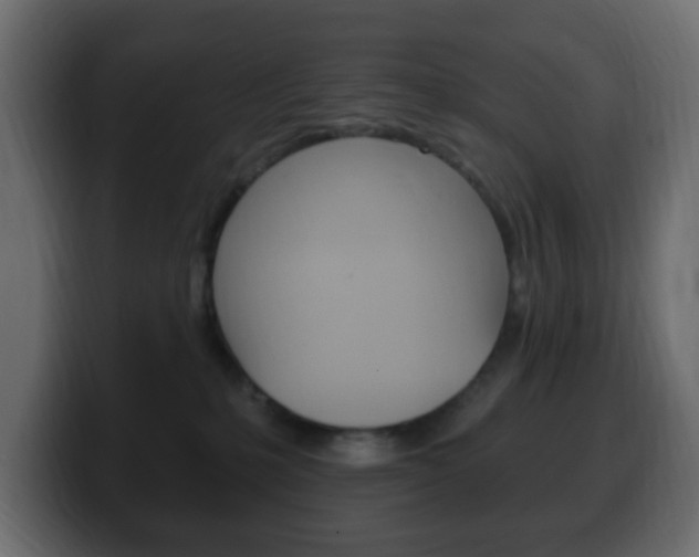 X0000100390231200806060840
