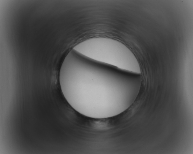 X0000100390232200806060840