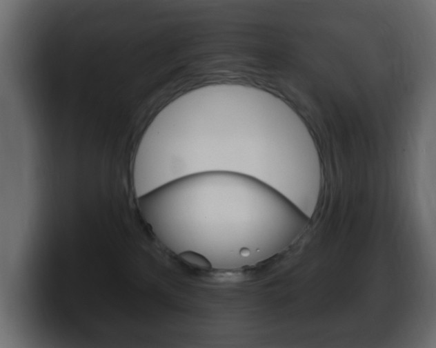 X0000100390233200806060840