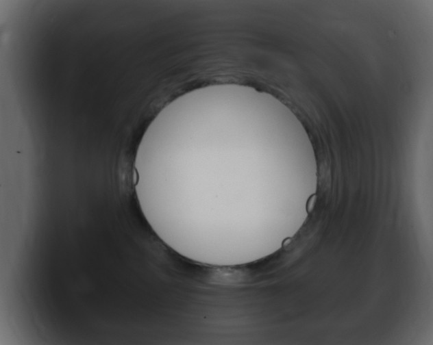 X0000100390234200806060840