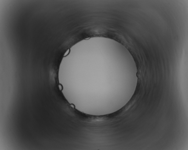 X0000100390235200806060840