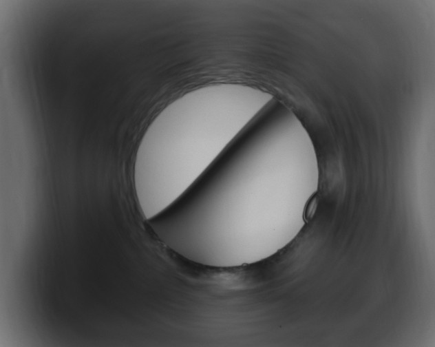 X0000100390236200806060840