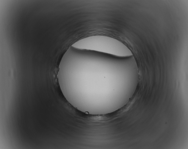 X0000100390237200806060840