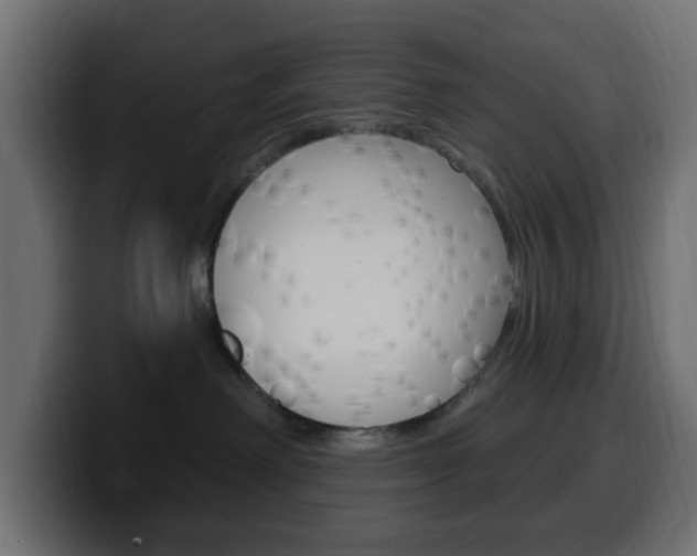 X0000100390238200806060840