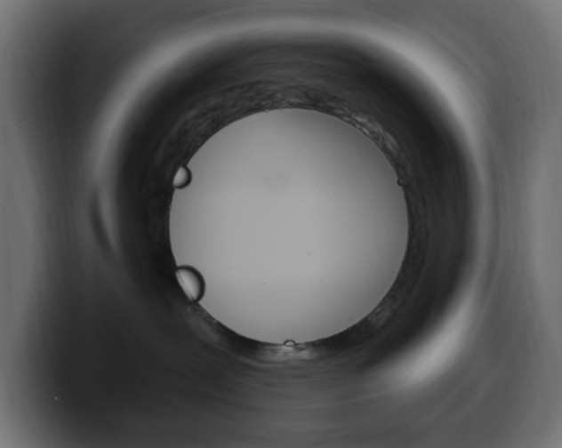 X0000100390239200806060840