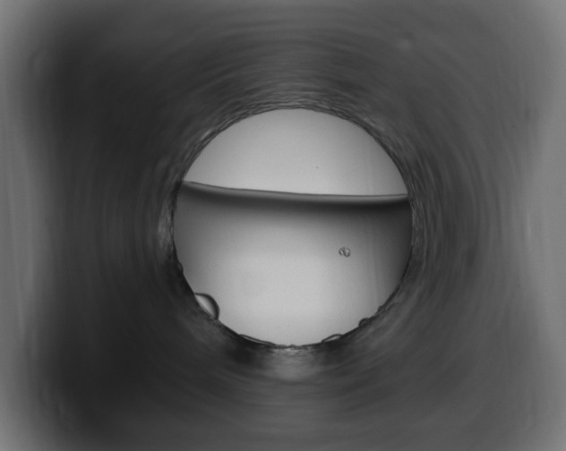 X0000100390240200806060840