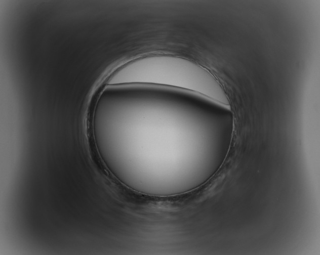 X0000100390244200806060839