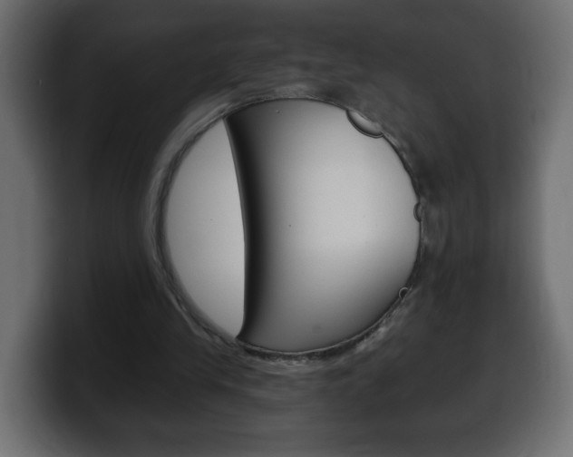 X0000100390245200806060839