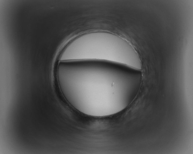 X0000100390248200806060839