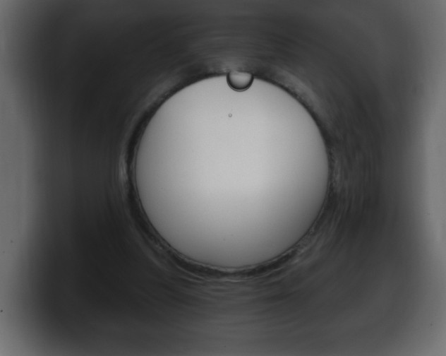 X0000100390251200806060839