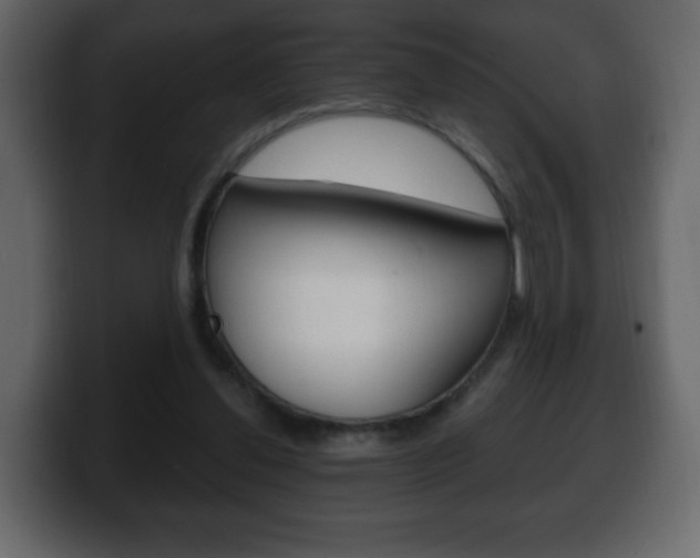 X0000100390252200806060839