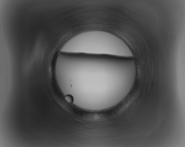 X0000100390254200806060839