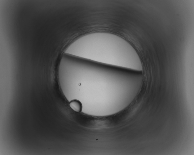 X0000100390255200806060839