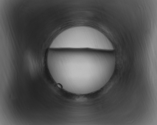 X0000100390258200806060839