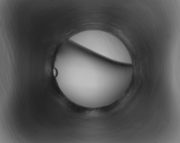 X0000100390259200806060839