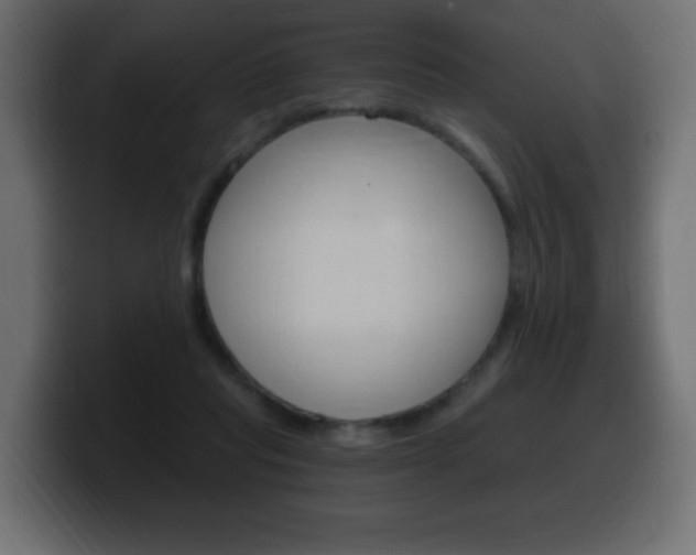 X0000100390261200806060839