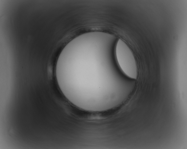 X0000100390262200806060839