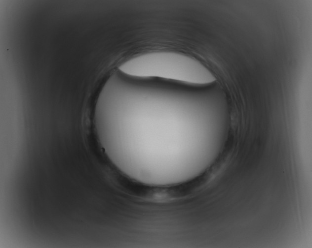 X0000100390264200806060839