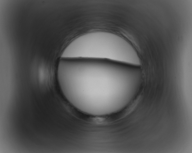 X0000100390265200806060840