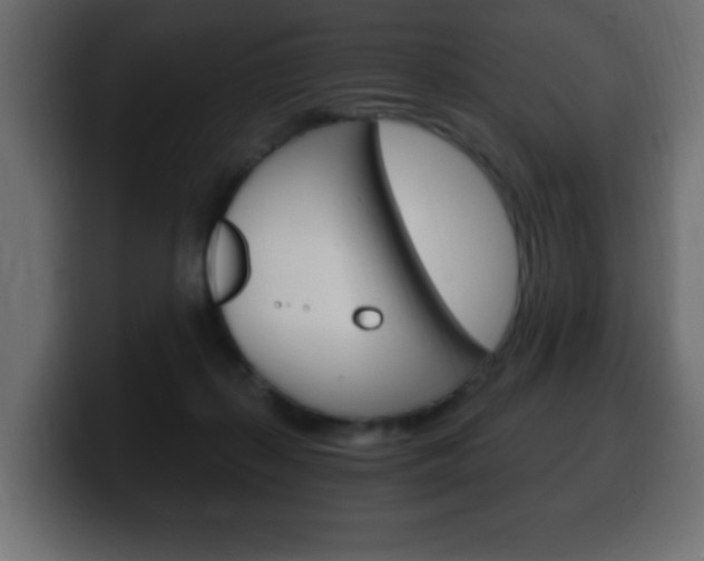 X0000100390267200806060840