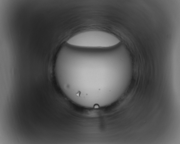 X0000100390268200806060840