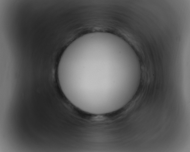 X0000100390269200806060840