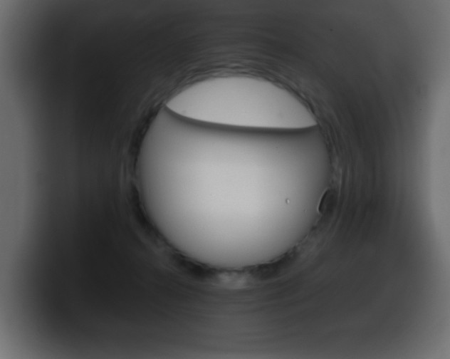X0000100390272200806060840
