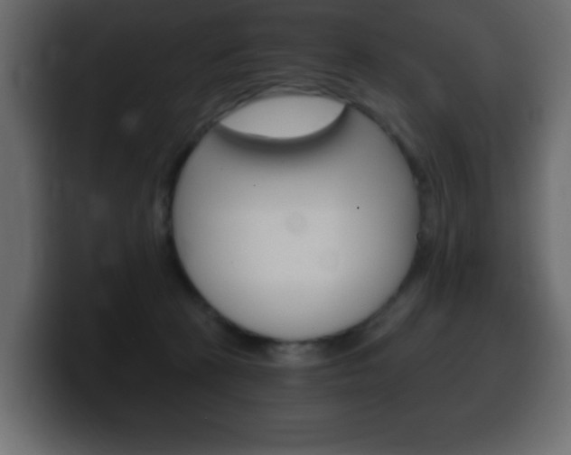 X0000100390273200806060840