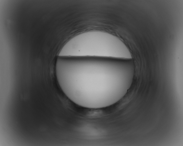 X0000100390274200806060840