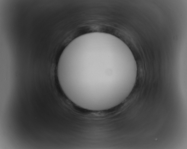 X0000100390275200806060840