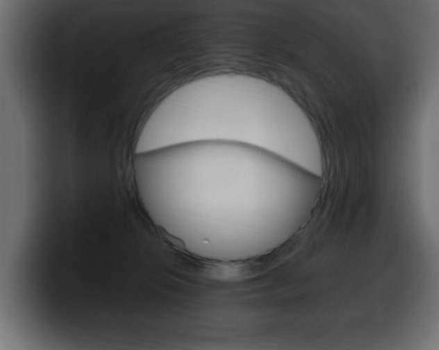 X0000100390276200806060840