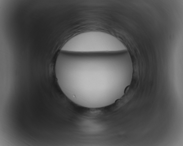 X0000100390278200806060840