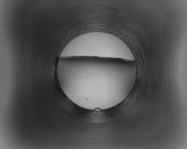 X0000100390279200806060840
